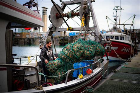 Reino Unido Concede 23 Licencias De Pesca A La UE Que Espera Obtener