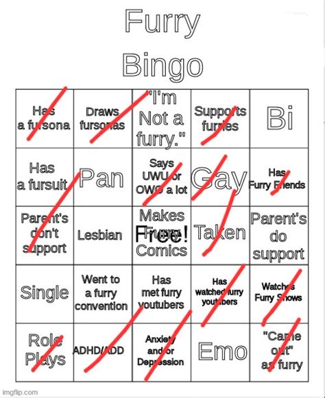 Furry Bingo Imgflip