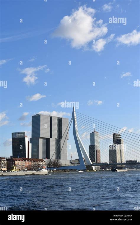 A Vertical Shot Of Erasmus Bridge With Buildings In Rotterdam