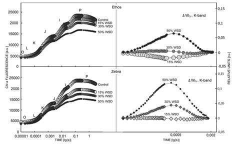 Chlorophyll A Fluorescence Transients Ojip Curves In Dark Adapted