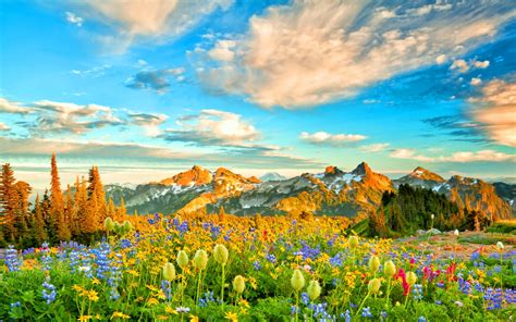 Flower Mountain Wallpapers Top Free Flower Mountain B