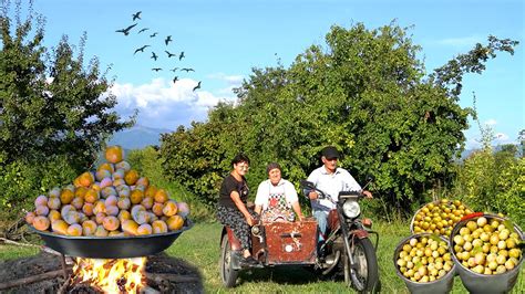 Fruit Harvesting In The Forest Making Plum Cake Youtube