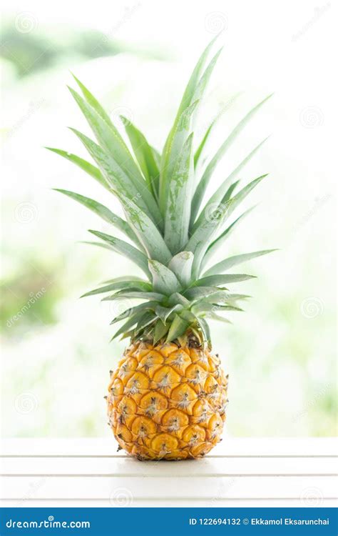 A Mini Pineapple With Blur Background In Thailand Stock Photo Image