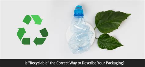 recyclable  correct   describe  packaging