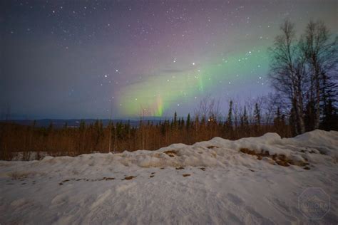 March 29th 2024 Client Photos Aurora In Alaska Photography