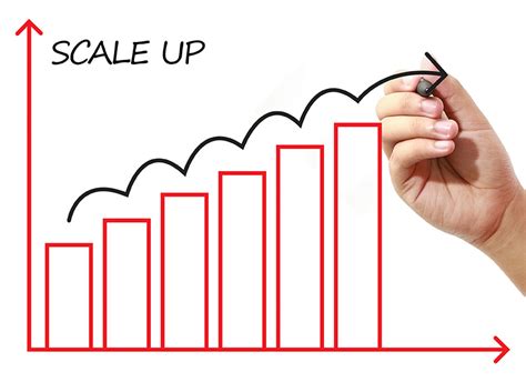 Scale Up Là Gì Và Cấu Trúc Cụm Từ Scale Up Trong Câu Tiếng Anh