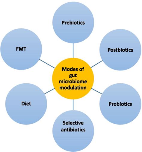 Possible Approaches To Modulation Of The Gut Microbiome Include Diet Download Scientific