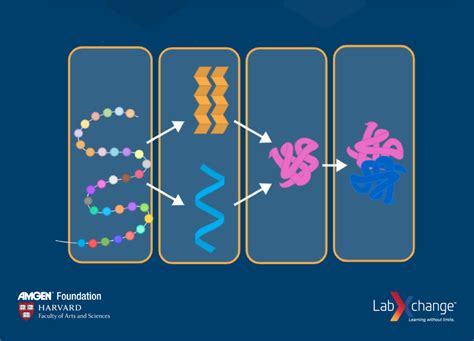 In the News: Protein Folding