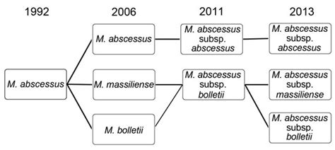 Figure 1 Mycobacterium Abscessus Complex Infections In Humans Volume 21 Number 9—september