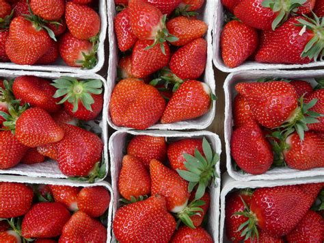 Gratis Afbeeldingen Fabriek Fruit Bes Zoet Rijp Eten Rood