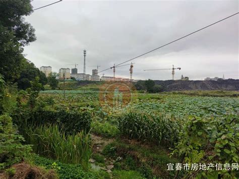 总占地168亩，成交近4亿元，宜春再迎住宅 商住用地成交！ 本地土拍 资讯 宜春市房地产信息网