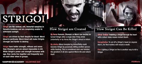 Vampire Academy Infographic Introduces The Strigoi