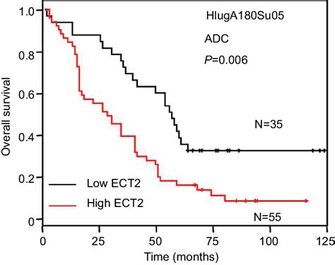 Overexpression Of Ect Protein Predicted Poor Survival Notes