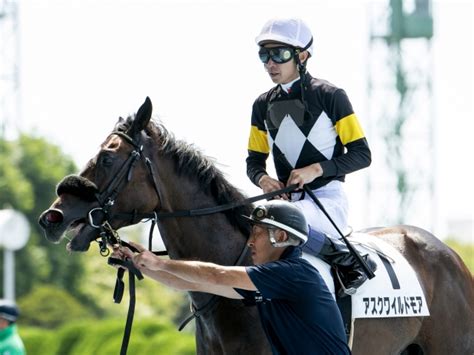 【ホープフルs】武豊騎手jra平地gi完全制覇なるか コンビを組むキズナ産駒に注目 競馬ニュース