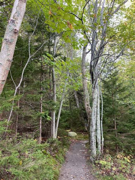 Mansel Bernard And Beach Mountain Loop Acadia National Park Hiked