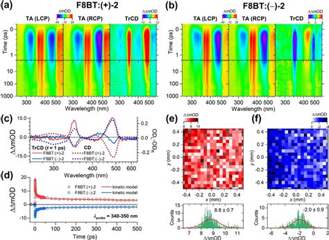 Ultrafast Transient Absorption And Transient Circular Dichroism