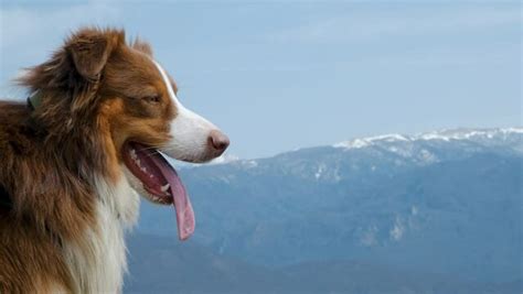 Big Ass Immagini Sfoglia 408 Foto Vettoriali E Video Stock Adobe Stock