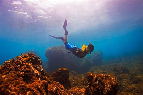 Caño Island snorkeling and diving tour, Costa Rica | Costa Rican Vacations