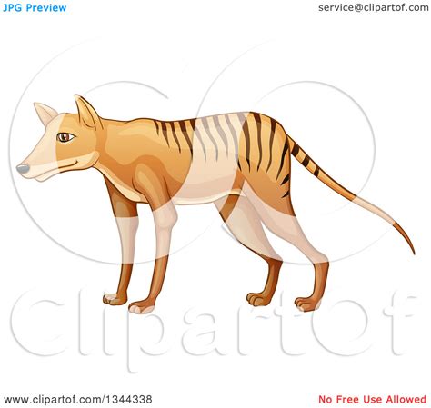 Thylacine Clipart 20 Free Cliparts Download Images On Clipground 2024