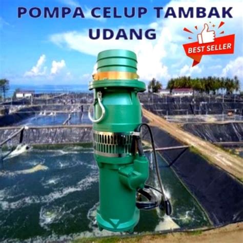 Jual Submersible Pump Mesin Pompa Air Kotor 6Inch Pompa Celup Tambak