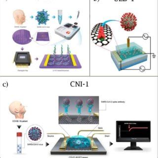 Biosensores basados en sistemas de electrodos electroquímicos a y