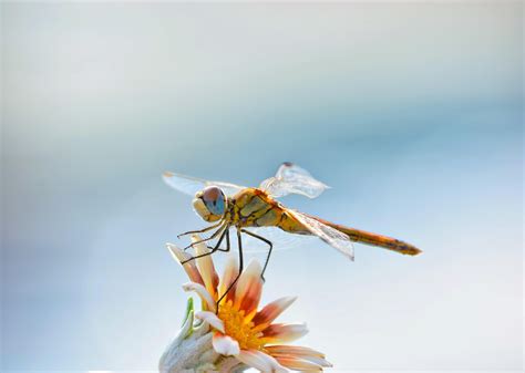 70mm 300mm Nikon D7200 Rnikon