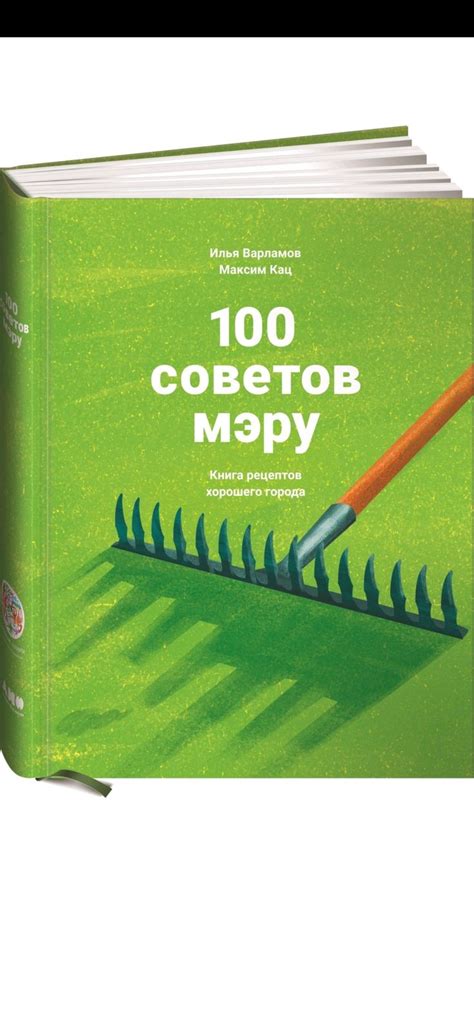 100 советов мэру