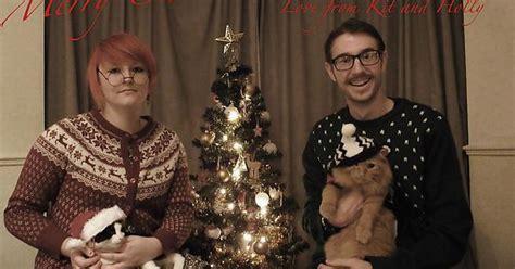 Cats And Christmas Jumpers Imgur