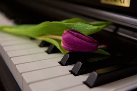 Naked Music Score Page Literotica Discussion Board