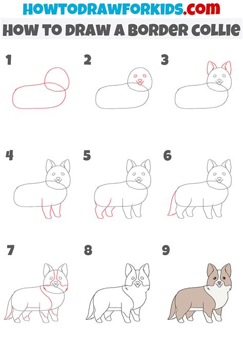 How To Draw A Border Collie Easy Drawing Tutorial For Kids