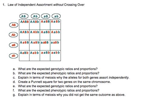 Independent Assortment Crossing Over