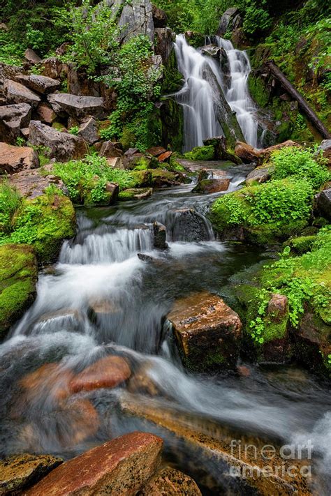 Twist And Drop Photograph By Michael Dawson Fine Art America