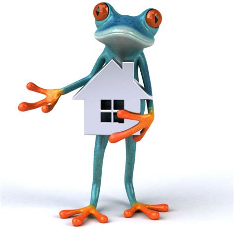 Frog House Stock Photos Pictures And Royalty Free Images Istock