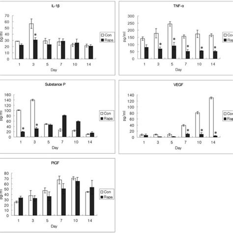 The Effect Of Rapamycin On Huvec Growth Huvecs Were Treated With To