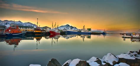 Höfn | Guide to Iceland