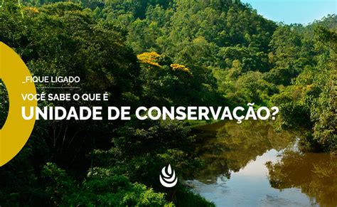 é Possível Utilizar Recursos Naturais Provenientes De Unidades De