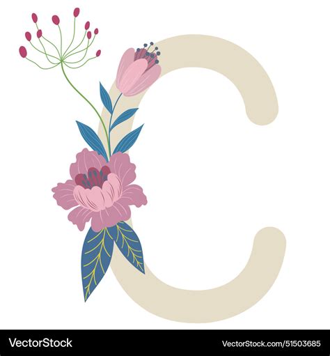 Floral Letter C Royalty Free Vector Image Vectorstock