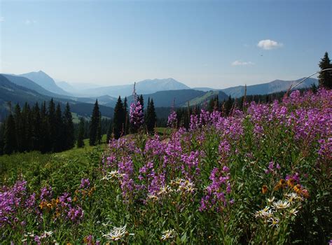 Copper Mountain Summer Activities: Family Fun in the Sun