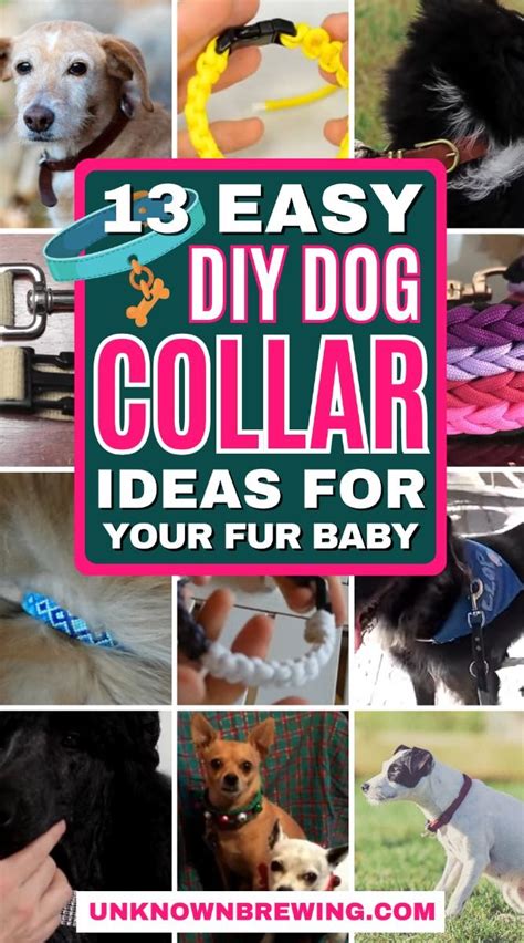 13 Easy Diy Dog Collar Ideas Diy Dog Stuff Diy Dog Collar Dog