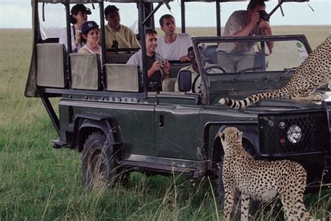 Isimangaliso Wetlands Park E Hluhluwe Imfolozi Game R Tour Di 2 Giorni