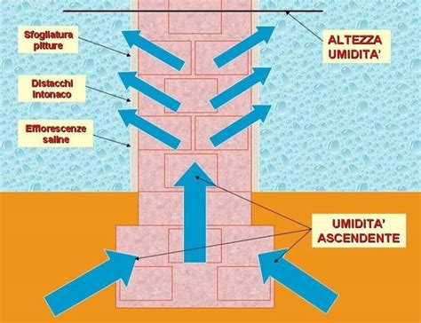 Cause e soluzioni per l umidità di risalita Pareti Come contrastare