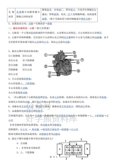 人教版初一七年级下册生物重点知识点提纲（填空版） 知乎