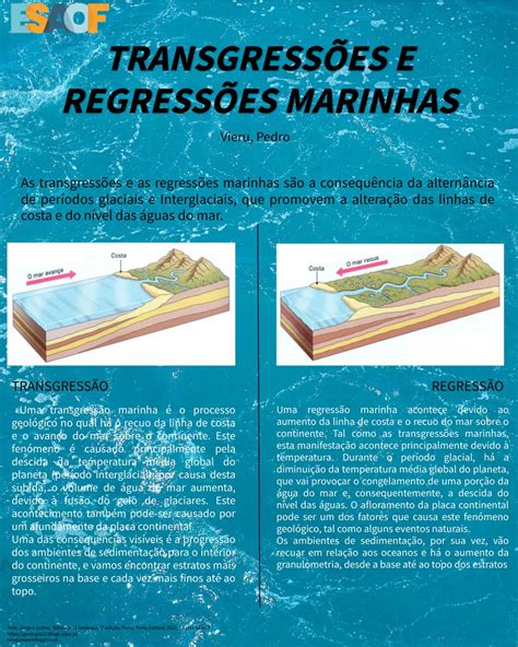 Transgress Es E Regress Es Marinhas