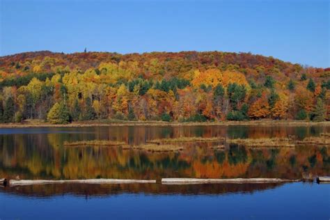 Gatineau Park – Make it a REAL park old – CPAWS OV