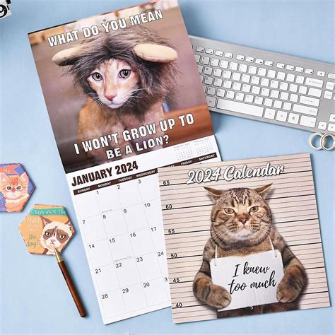 Calendrier Mural 2024 Calendrier Funny Cat 2024 Janvier 2024