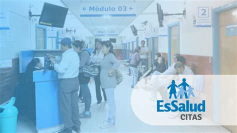 Essalud En L Nea Todo Lo Que Necesita Saber Tr Mites Y Consultas Per