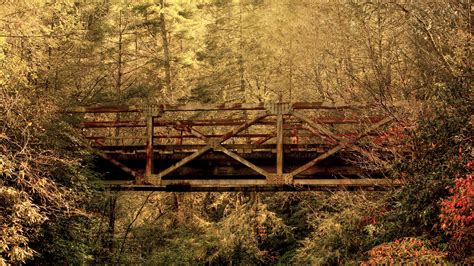 Wallpaper Sunlight Trees Landscape Forest Water Nature