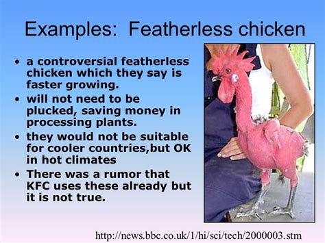 Kfc Featherless Chickens