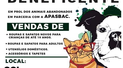 Bazar Beneficente Em Prol De Animais Abandonados Nos Dias 5 E 6 De Maio