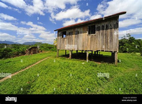 Petite Maison Standind Dans Un Pré Vert Au Honduras La Mosquitia